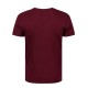 T-SHIRT ΑΡΚΤΟΣ ΕΝΗΛΙΚΩΝ 