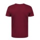 T-shirt με λογότυπο ΑΡΚΤΟΥΡΟΣ - ΔΑΣΟΥΣ